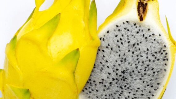 dragon fruit